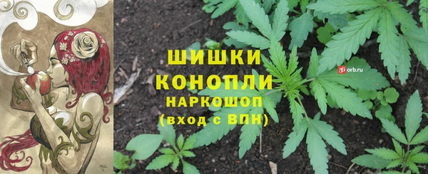 мдпв Вяземский