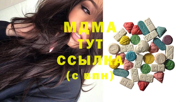 мдпв Вяземский