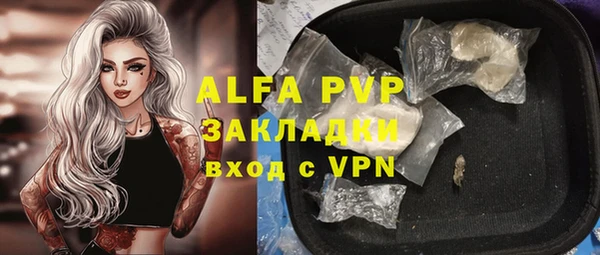 мдпв Вяземский