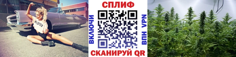 Бошки Шишки тримм  купить наркотик  Зерноград 